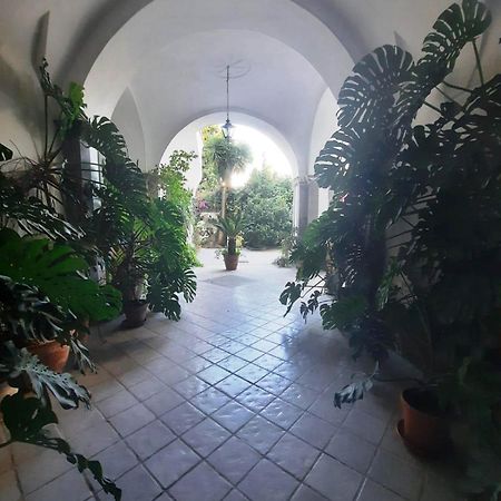 Готель La Casa Delle Camelie Мета Екстер'єр фото