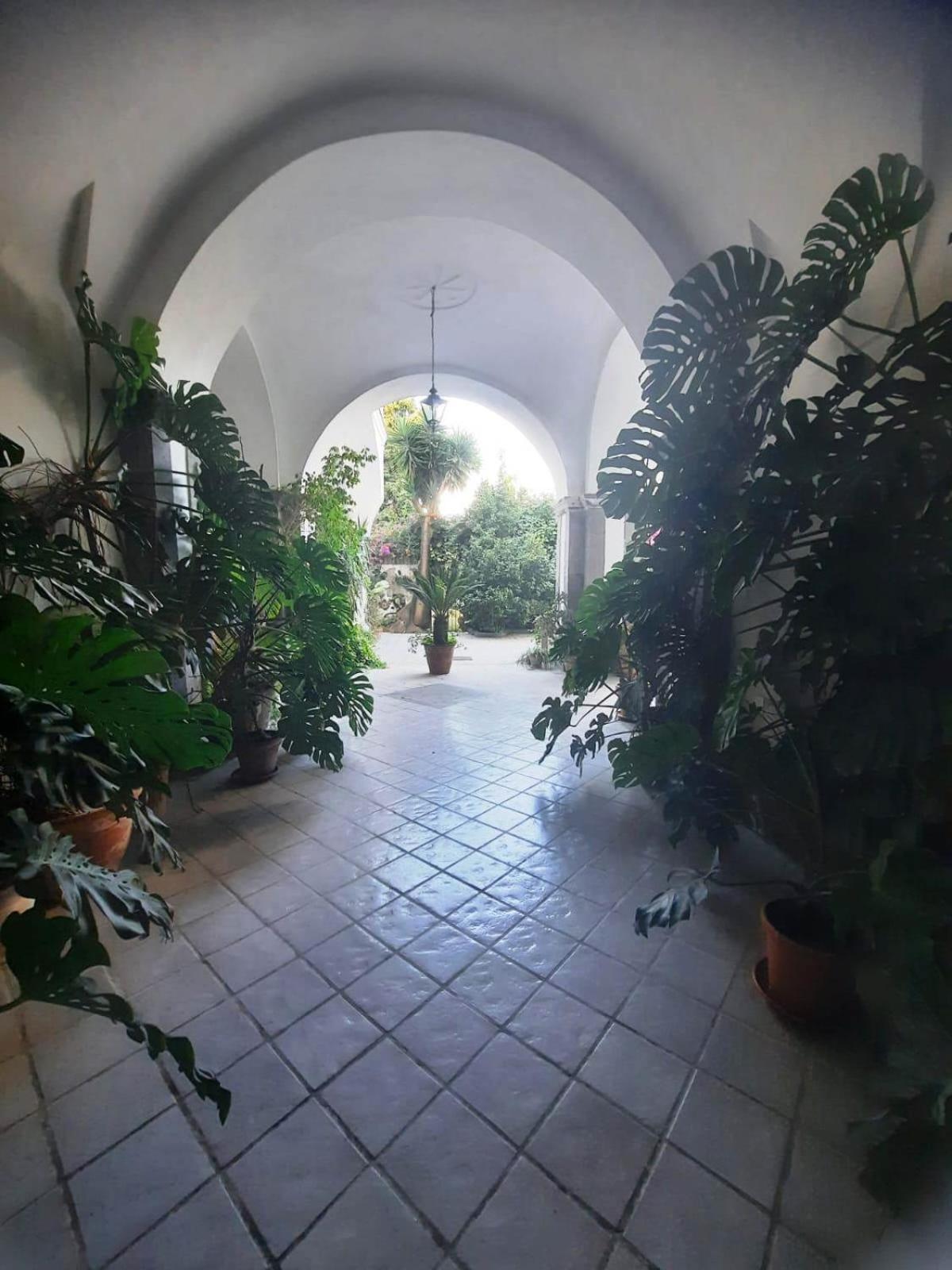Готель La Casa Delle Camelie Мета Екстер'єр фото